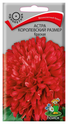 Семена Астра королевский размер Красная, 0,1 гр.