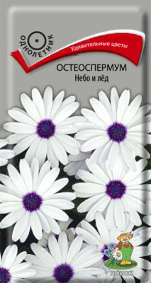 Семена Остеоспермум Небо и лед, 0,1 гр. купить в отделе магазина Экономстрой