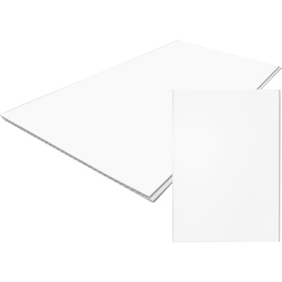 Панель ПВХ, белая матовая, 250х8х3000 мм купить в отделе магазина Экономстрой