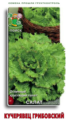Семена Салат Кучерявец Грибовский, 1 гр.