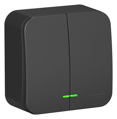 Выключатель 2-х клавишный, открытой установки, с подсветкой Антрацит BLANCA Schneider Electric (BLNVA105116)
