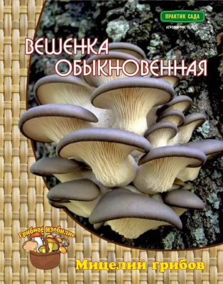 Вешенка обыкновенная, 12 шт