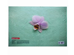 Папка-конверт с кнопкой BRAUBERG &quot;FLOWER&quot;, А4, 160 мкм, до 100 листов, цветная печать, 228031, 748599