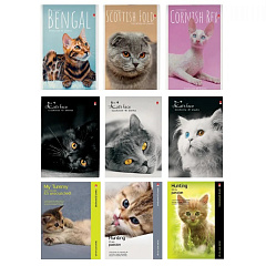Блокнот на скрепке в ассортименте, Котята, А6, 40 л