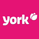 York