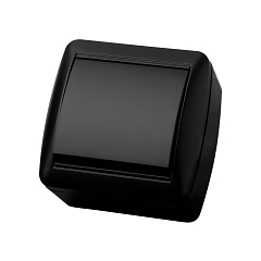 Выключатель TDM, Селигер, 1 клавишный, открытой установки, графит, 10А