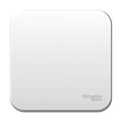Переключатель Schneider Electric, Blanca, открытой установки, 1 клавишный, белый