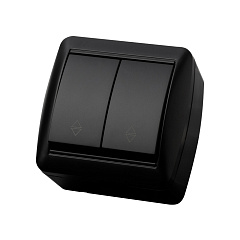 Переключатель TDM, Селигер, открытой установки, 2 клавишный, графит, 10А