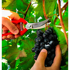 Секатор плоскостной цельнокованый Obrigado, 200 мм