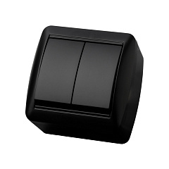 Выключатель TDM, Селигер, 2 клавишный, открытой установки, графит, 10А