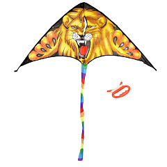 Воздушный змей Boyscout, шнур 30 м, 130х62 см