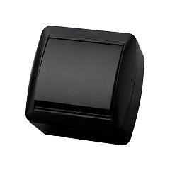 Переключатель TDM, Селигер, открытой установки, 1 клавишный, графит, 10А