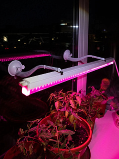 Кронштейн для фитоламп и фитосветильников Эра, Fito-Hanger, 2 шт