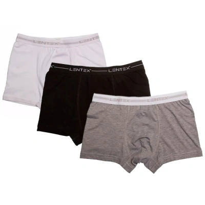 Трусы мужские (боксеры) Lentex Boxer, р. L/48 купить в отделе магазина Экономстрой