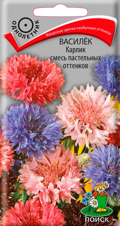 Семена Василек Карлик смесь пастельных оттенков, 0,1 гр. купить в отделе Семена цветов магазина Экономстрой