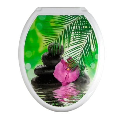 Сиденье для унитаза Декор Орхидея, цвет белый купить в отделе магазина Экономстрой