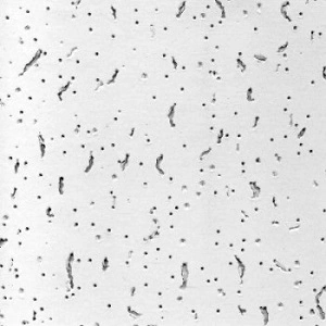 Панель потолочная Armstrong BAIKAL 90RH 600х600х12мм (7,2м2) купить в отделе магазина Экономстрой