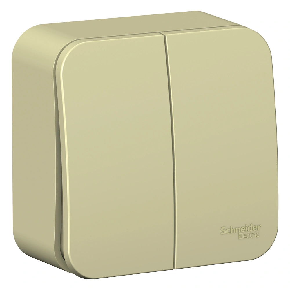 Выключатель Schneider Electric, Blanca, 2 клавишный, открытой установки, бежевый купить в отделе Выключатели, переключатели магазина Экономстрой