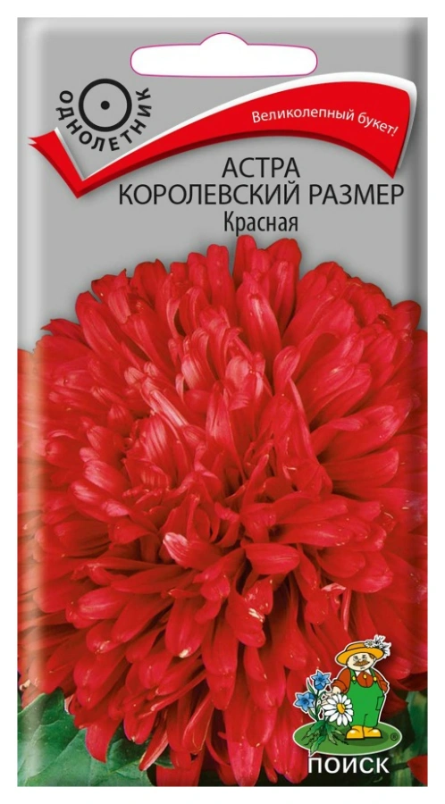 Семена Астра королевский размер Красная, 0,1 гр. купить в отделе Семена цветов магазина Экономстрой