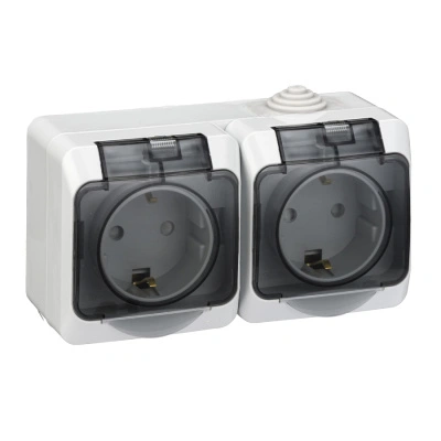 Розетка 2 местная с заземлением открытой установки, с крышкой 16А 250В, Серая IP44 Этюд, Schneider Electric (PA16-244C) купить в отделе магазина Экономстрой