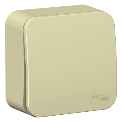 Выключатель Schneider Electric, Blanca, 1 клавишный, открытой установки, бежевый купить в отделе магазина Экономстрой