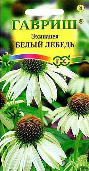 Семена Гавриш Эхинацея Белый лебедь, 0,1 гр. купить в отделе Семена цветов магазина Экономстрой
