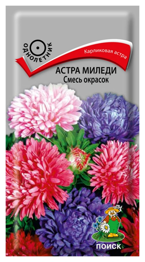 Семена Астра миледи Смесь окрасок, 0,1 гр. купить в отделе Семена цветов магазина Экономстрой