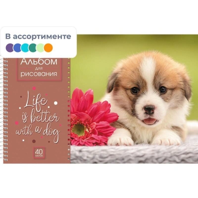 Альбом для рисования щенки, А4, 40 листов купить в отделе магазина Экономстрой