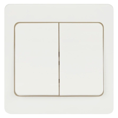 Выключатель Intro, Style, 10А-250В, IP20, СУ, 2-х клавишный, белый