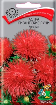 Семена Астра Гигантские лучи Красная, 0,3 гр. купить в отделе магазина Экономстрой