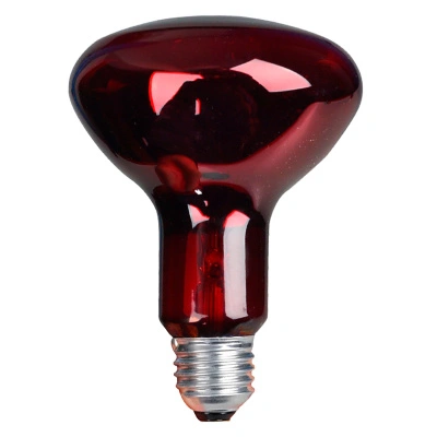 Лампа накаливания инфракрасная зеркальная ИКЗК красная 250W E27 2160lm, 8105005