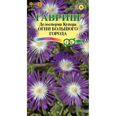 Семена Гавриш Делосперма обильноцветущая Купера Огни большого города, 7 шт купить в отделе магазина Экономстрой