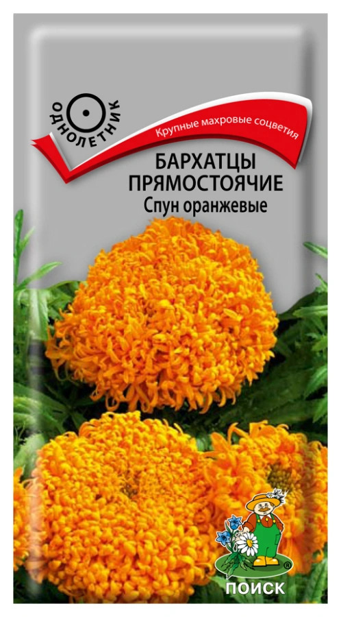 Семена Бархатцы прямостоячие Спун оранжевые, 0,1 гр. купить в отделе Семена цветов магазина Экономстрой
