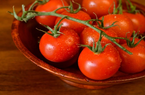Как правильно сажать томаты