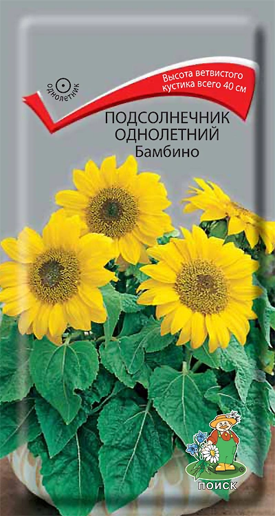 Семена Подсолнечник однолетний Бамбино, 0,5 гр. купить в отделе Семена цветов магазина Экономстрой