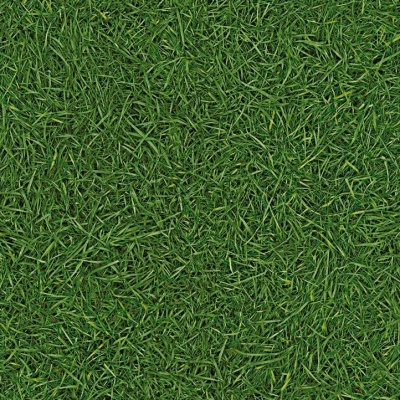 Линолеум бытовой IVC Neo Grass 25, ширина 2 м
