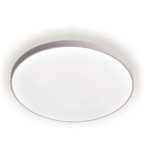 Светильник светодиодный (потолочный) Le, LED BL, 24 Вт, 5000K купить в отделе магазина Экономстрой