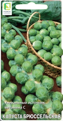 Семена Капуста брюссельская Геркулес, 0,5 гр. купить в отделе магазина Экономстрой