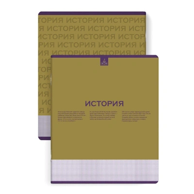 Тетрадь предметная Нескучная классика История, А5+ (48 листов) купить в отделе магазина Экономстрой