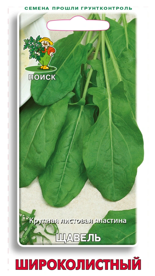 Семена Щавель Широколистный, 1 гр. купить в отделе Семена овощей и ягод магазина Экономстрой