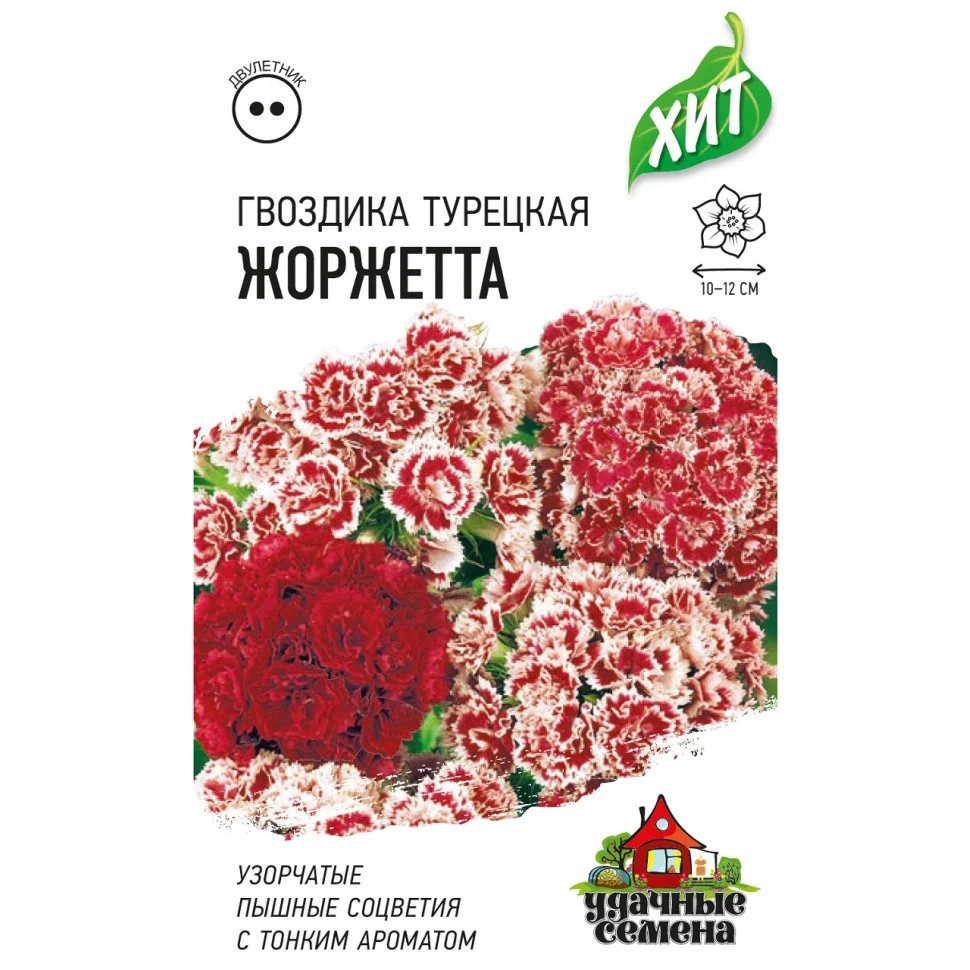 Семена Удачные семена Гвоздика бородатая (турецкая) Жоржетта, смесь, 0,1 гр. купить в отделе Семена цветов магазина Экономстрой