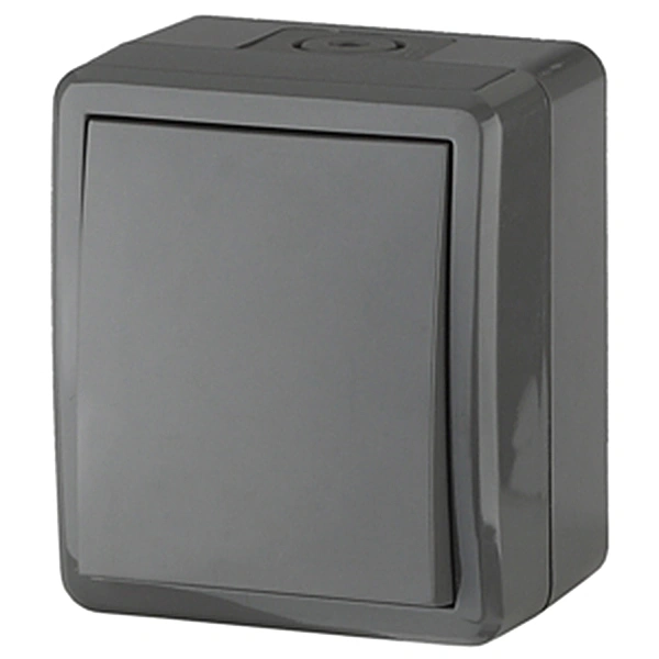 Выключатель 1 клавишный  IP54, 10А 250В, серый, открытой установки, 11-1401-03 ЭРА ЭКСПЕРТ (Б0020670) купить в отделе Выключатели, переключатели магазина Экономстрой