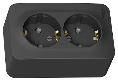 Розетка 2-х местная, с заземлением, открытой установки, 16А 250В Антрацит BLANCA Schneider Electric (BLNRA010216) купить в отделе магазина Экономстрой