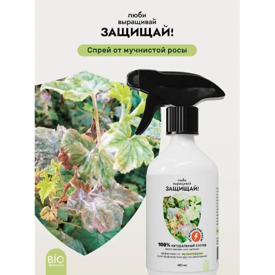 Спрей от мучнистой росы, 450 мл купить в отделе магазина Экономстрой