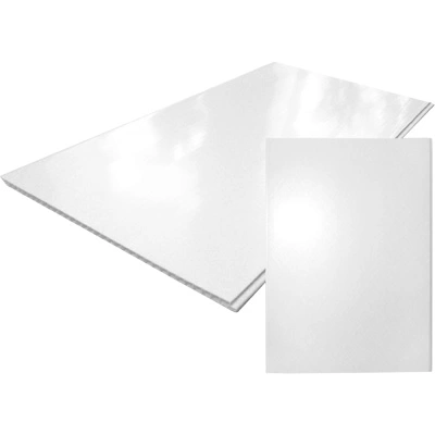 Панель ПВХ, белая глянцевая, 250х8х2700 мм купить в отделе магазина Экономстрой