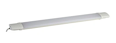 Светильник светодиодный SPP-3-20-6K-M, 20 Вт, 6500К, 1600Лм, IP65, 652х60х35 мм, ЭРА