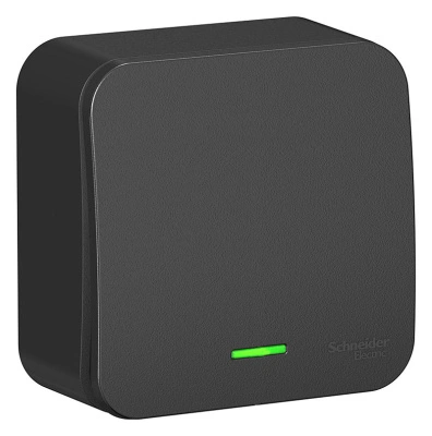 Выключатель 1 клавишный открытой установки с подсветкой Антрацит BLANCA Schneider Electric купить в отделе магазина Экономстрой