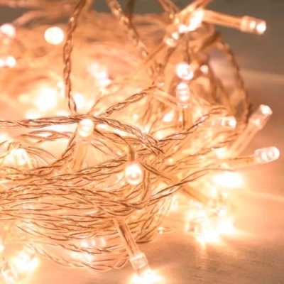 Гирлянда светодиодная Navigator, свет теплый белый, 61 796 NGF-S01-50WW-5-4m-230-C8-TR-IP20