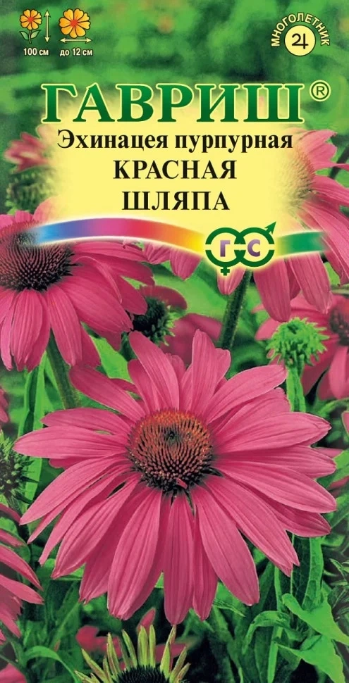 Семена Гавриш Эхинацея пурпурная Красная шляпа, 0,1 гр. купить в отделе Семена цветов магазина Экономстрой