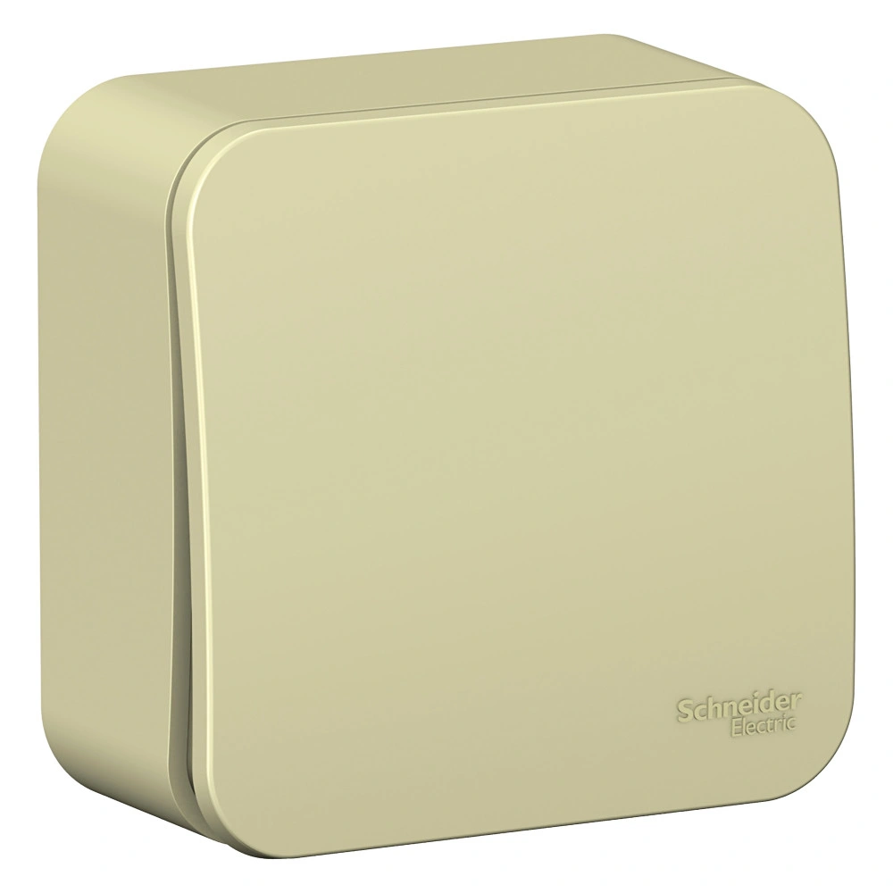 Выключатель Schneider Electric, Blanca, 1 клавишный, открытой установки, бежевый купить в отделе Выключатели, переключатели магазина Экономстрой